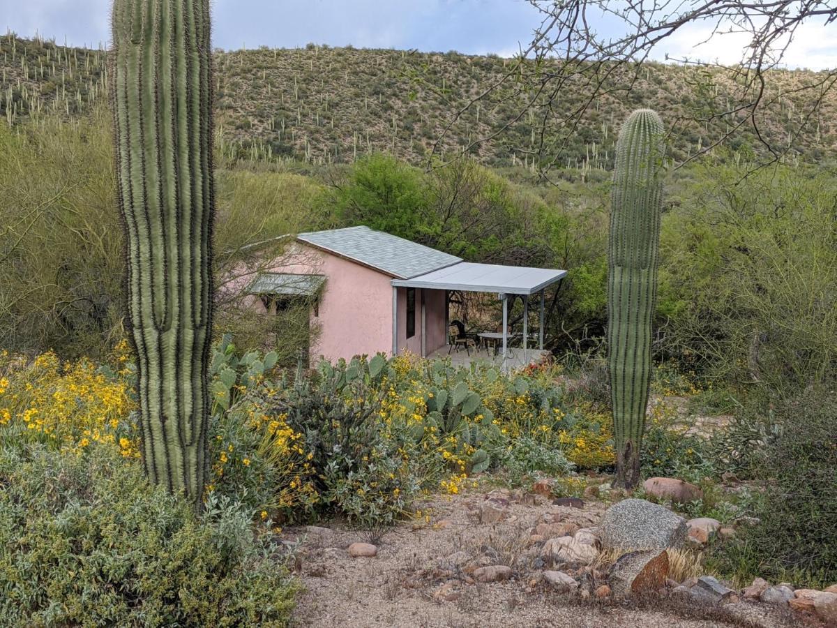 Saguaro Lake Ranch Fountain Hills Esterno foto