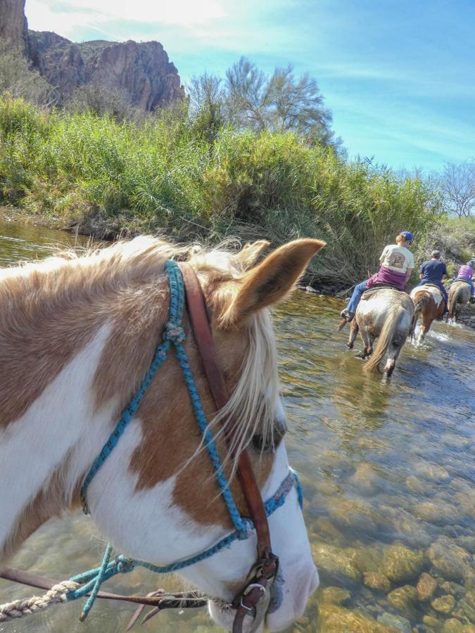 Saguaro Lake Ranch Fountain Hills Esterno foto